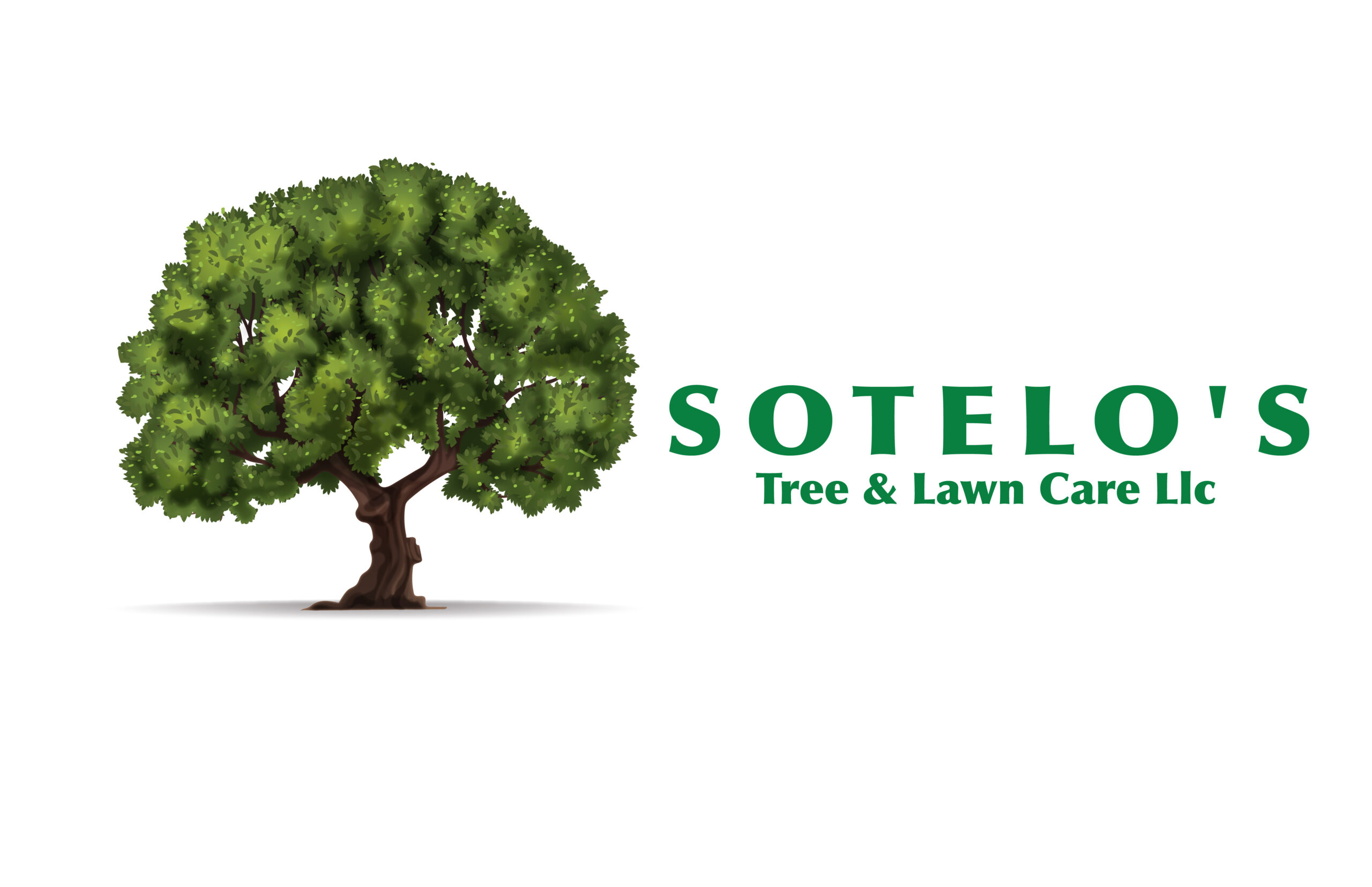 Sotelo's Tree & Lawn Care LLC