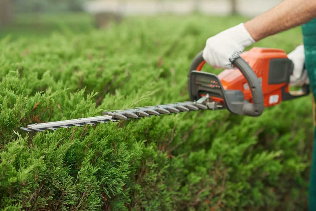 Close up of gargener trimming bushes