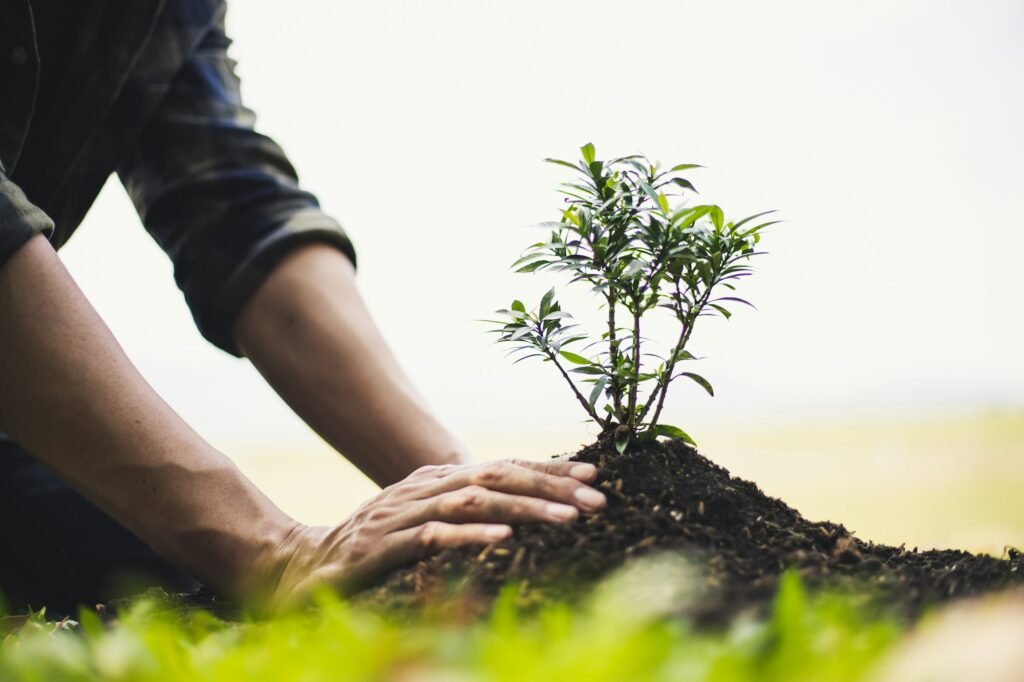 Planting trees