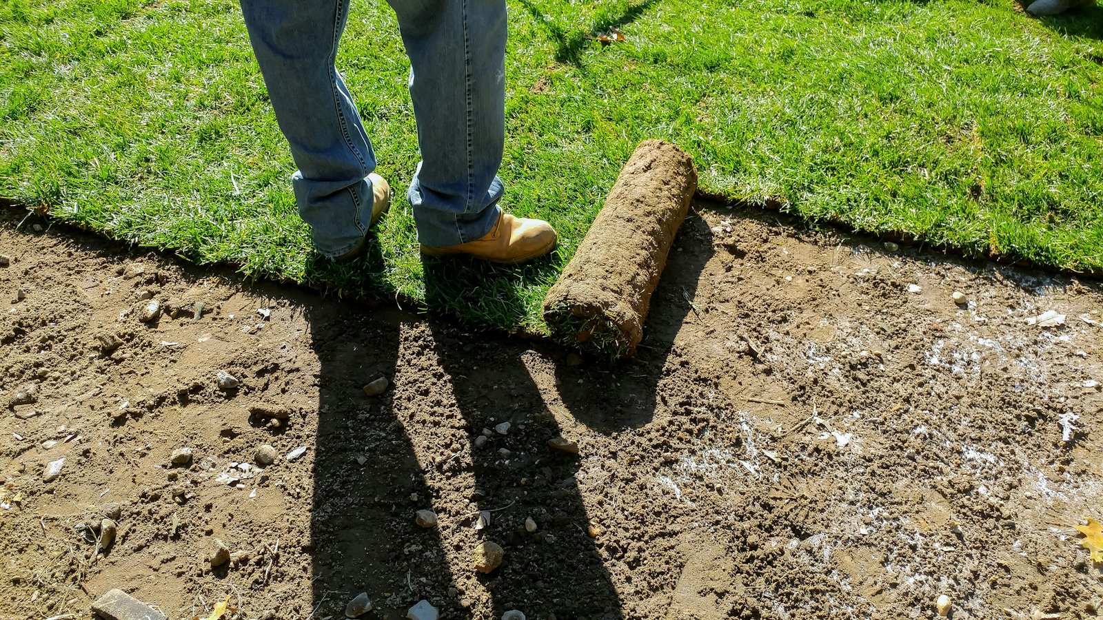 sod installation