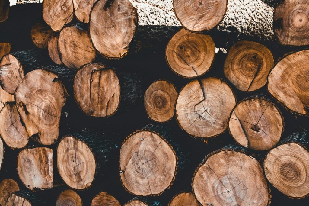 tree stump background