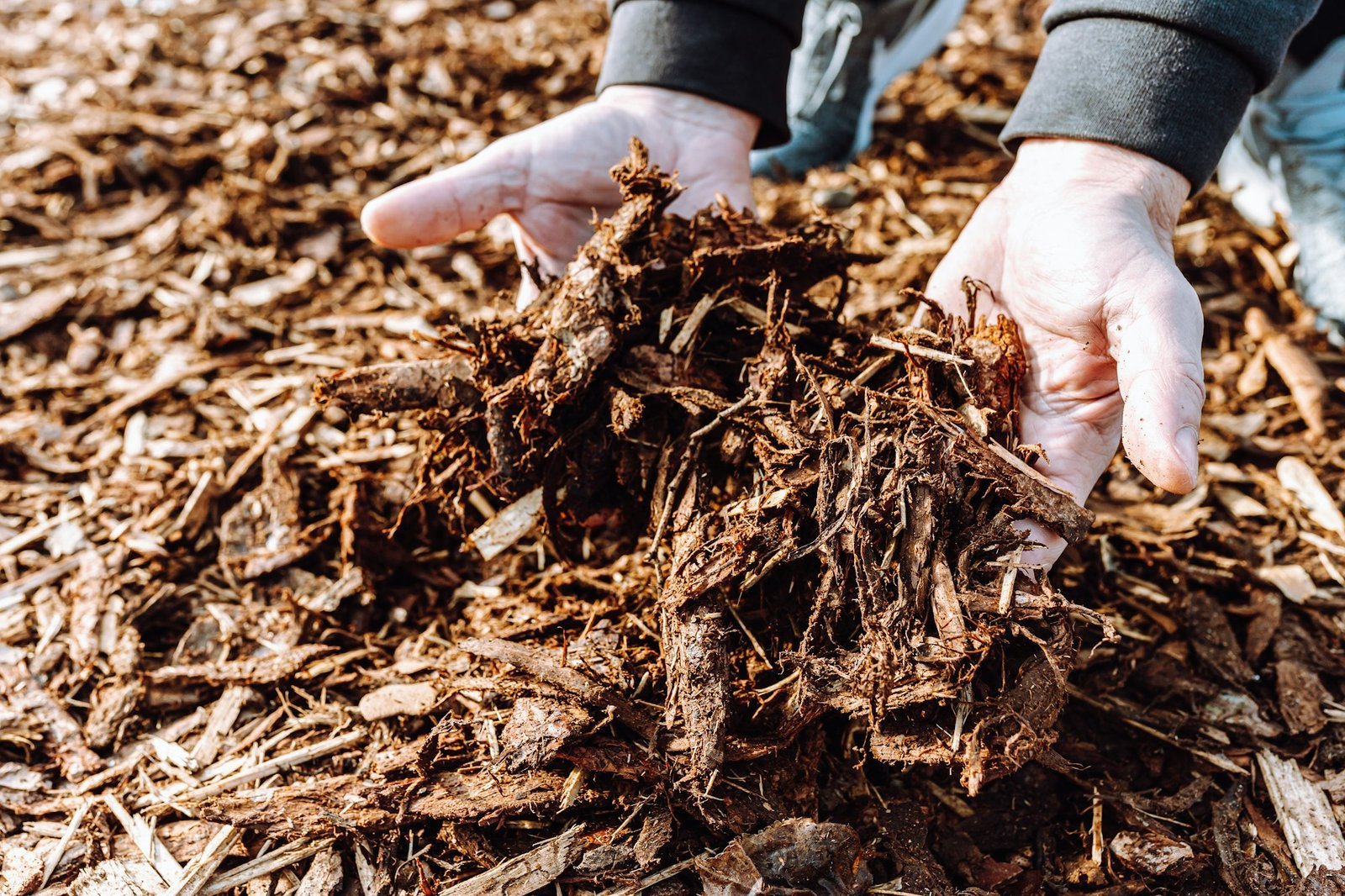 Mulching