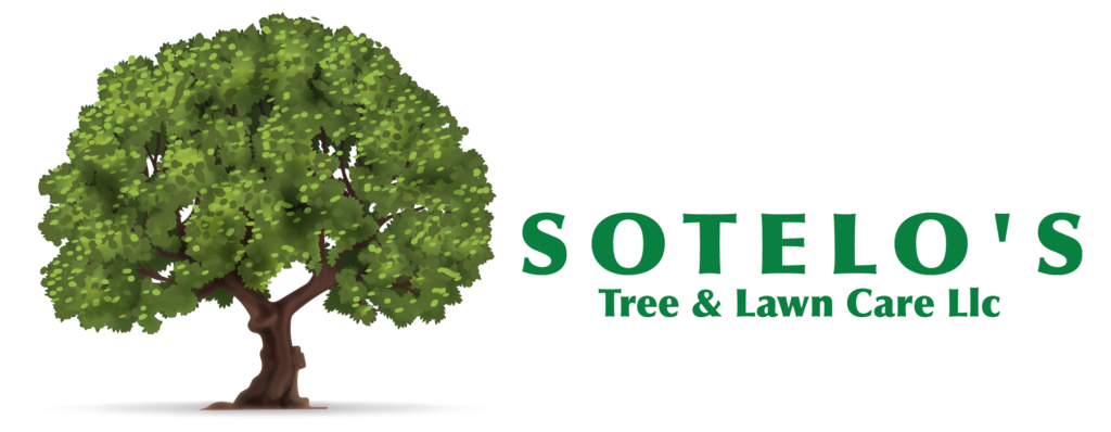logo Mesa de trabajo 1