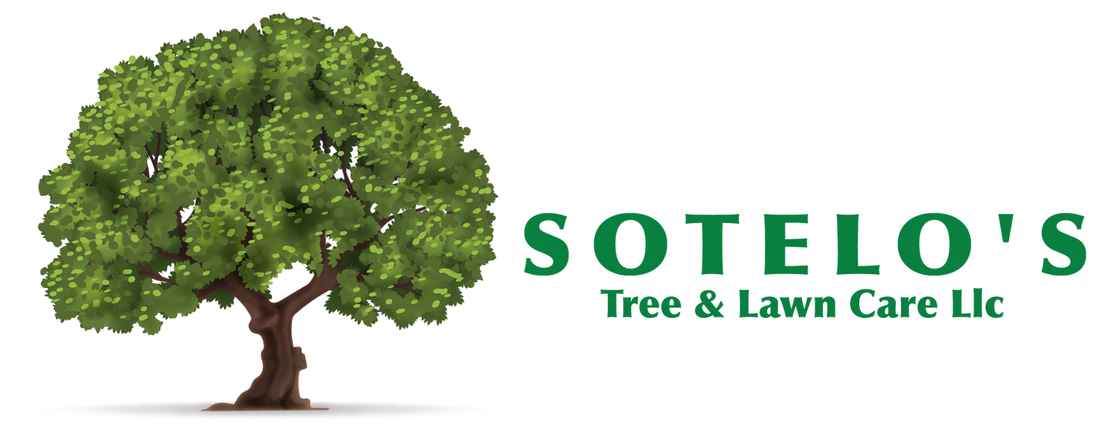 logo Mesa de trabajo 1