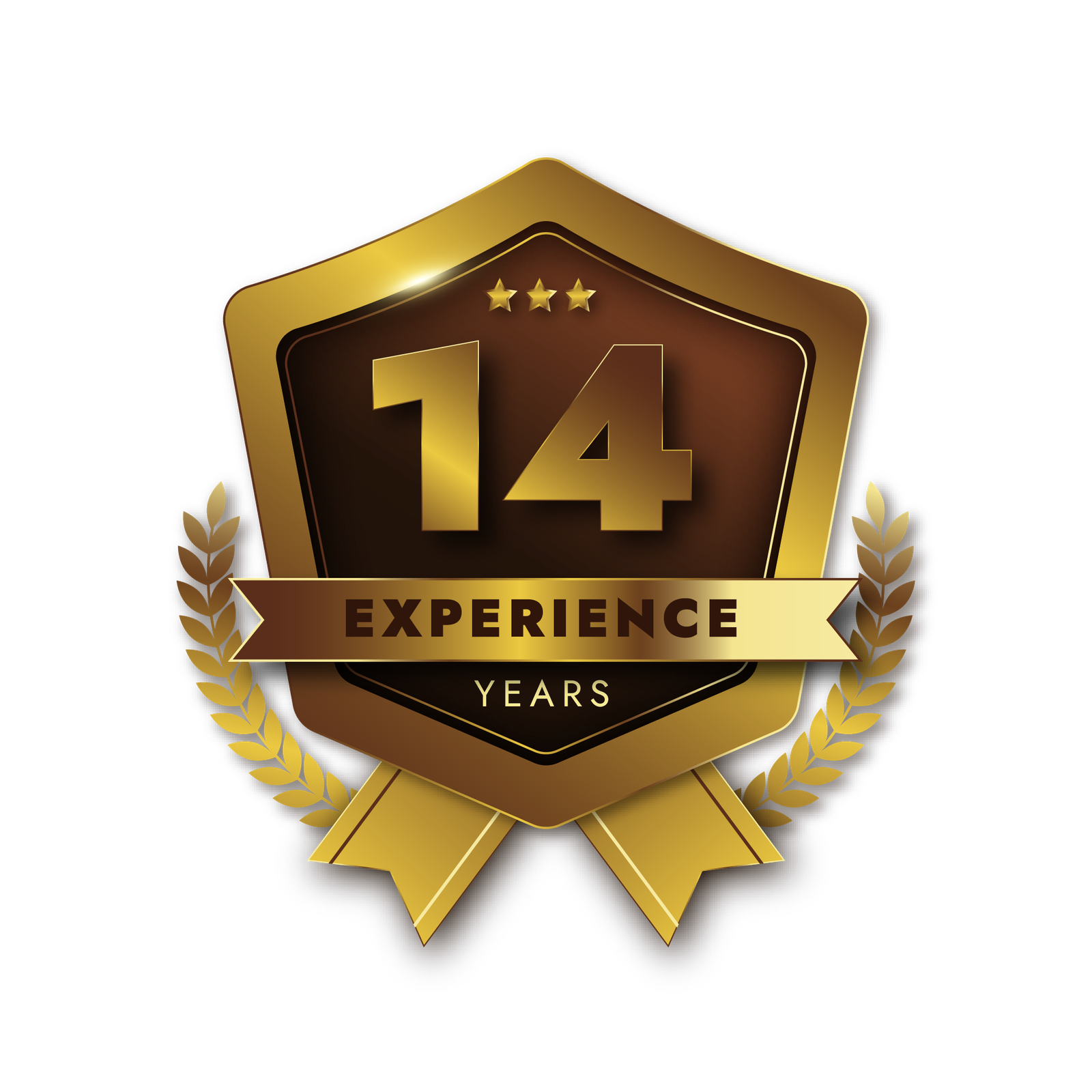 14 Mesa de trabajo 1 copia 2