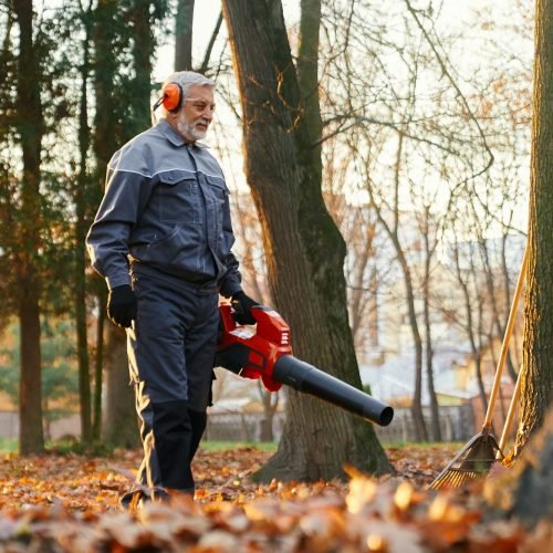 fall clean up