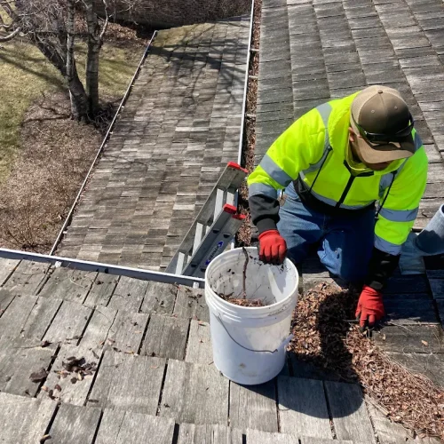 gutter cleaning sotelo